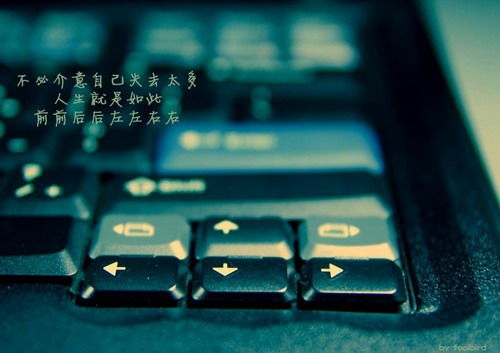 抖音头像和名称多久能改一次2 抖音头像和名称多久能改一次2