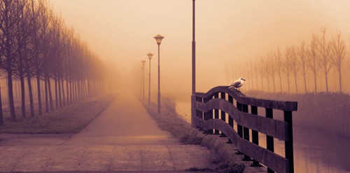 长发的卡通微信头像8 长发的卡通微信头像8