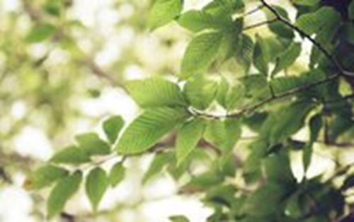 傻吊搞怪头像5 傻吊搞怪头像5