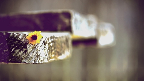 lol带表情的头像有哪些2 lol带表情的头像有哪些2