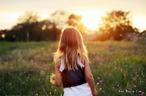 狗眼看人的句子说说2 狗眼看人的句子说说2