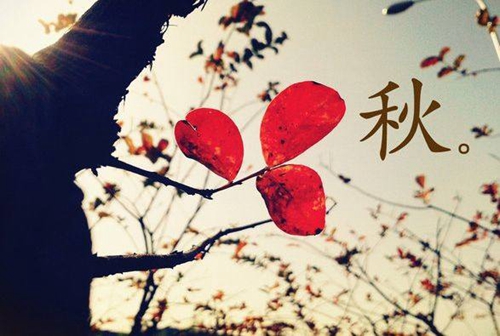 那些听起来就很霸气的土味网名 那些听起来就很霸气的土味网名