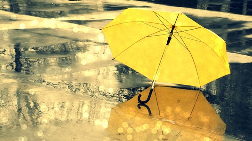 关于苑字的唯美网名 关于苑字的唯美网名