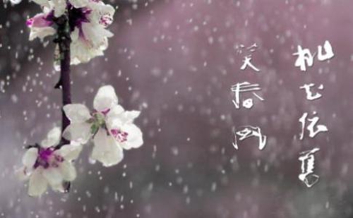 酒吧dj串烧mv在哪里下载 酒吧dj串烧mv在哪里下载