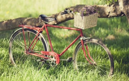 dj具备哪些条件 dj具备哪些条件