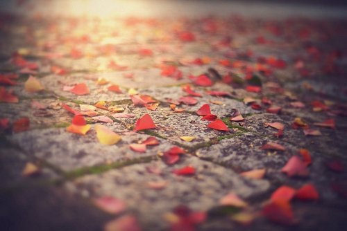 比如的说说大全 比如的说说大全