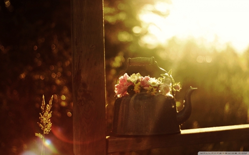 《同月同日生日祝福语》精选10句 《同月同日生日祝福语》精选10句