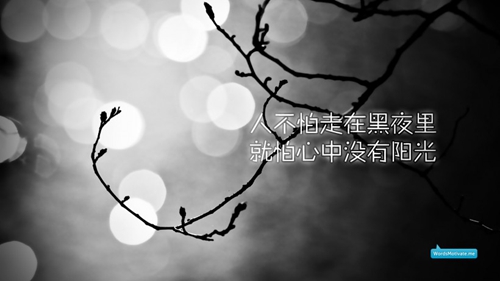 和朋友喝早茶发朋友圈说说 和朋友喝早茶发朋友圈说说