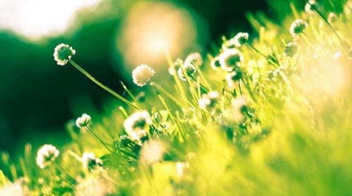 被爱人伤了心的说说 被爱人伤了心的说说