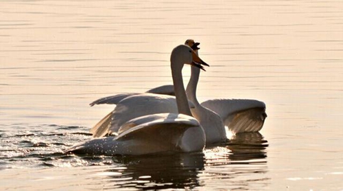 宝宝的说说 宝宝的说说