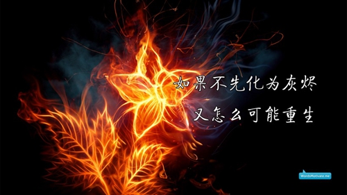 意乱情迷车载dj 意乱情迷车载dj