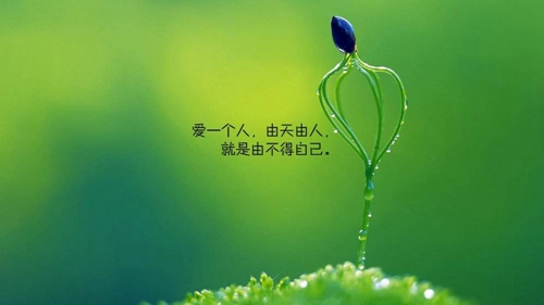 乔迁之喜短信文案励志 乔迁之喜短信文案励志