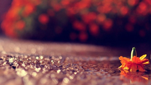 4年级闺蜜生日祝福语窝心的话 4年级闺蜜生日祝福语窝心的话